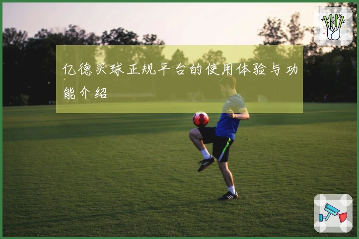 亿德买球正规平台的使用体验与功能介绍