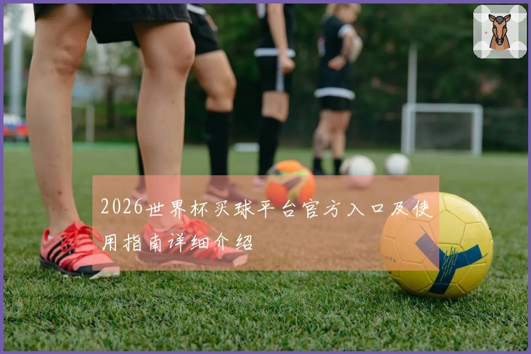 2026世界杯买球平台官方入口及使用指南详细介绍