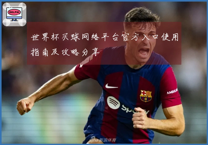 世界杯买球网络平台官方入口使用指南及攻略分享