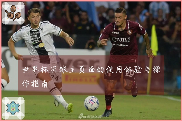 世界杯买球主页面的使用体验与操作指南
