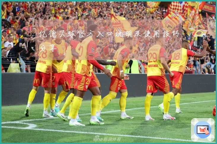 亿德买球官方入口说明及使用技巧分享