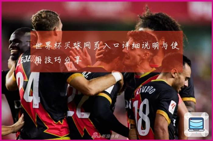 世界杯买球网页入口详细说明与使用技巧分享
